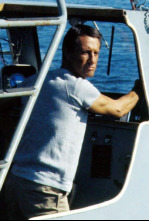 Imagen de Tiburón 2 - 5