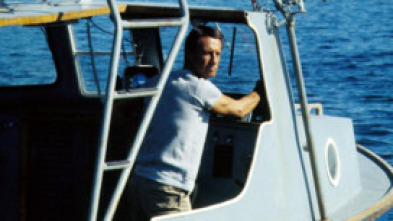 Imagen de Tiburón 2 - 6