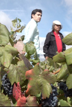 Wineman: Los vinos de la sierra de la Culebra