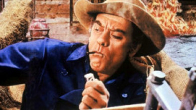 Imagen de Un dólar y una tumba - 14
