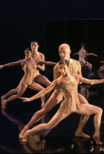 Imagen de Magifique - 6