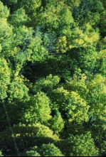 Imagen de Paisaje natural - 4