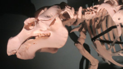 Imagen de Misterios en el museo: El gato del diablo y otros misterios - 7