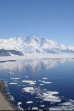 Imagen de Grandes documentales - 4