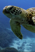 Islas Secretas de Australia