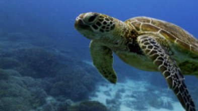 Islas Secretas de Australia