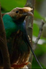 Imagen de Especial Wild Asia: Islas paradisíacas  - 6