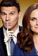 Bones (T9): Ep.3 El carnicero en el coche