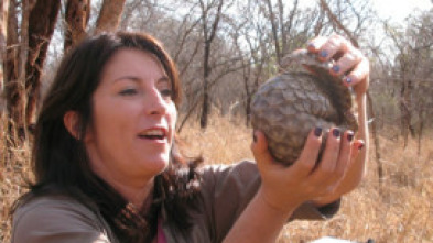 Imagen de Excéntricos y peculiares: Los cinco raros de África - 5