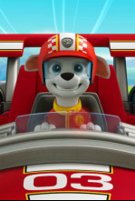 PAW Patrol: Ready, Race, Rescue!