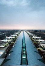 Aeropuerto de Dubai: Caballos de carreras