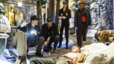 Imagen de NCIS: Nueva Orleans (T1): Ep.10 Heroísmo robado - 5