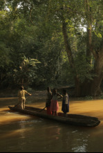 Imagen de Congo, el corazón de África - 4