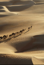 Imagen de Secretos en la arena: Ep.4 - 4