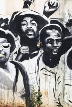 Imagen de Ciudad del Cabo. La joya de África - 4