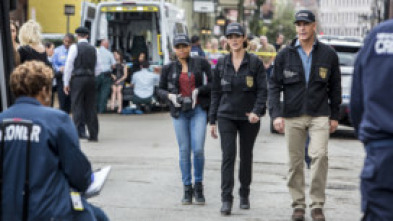 Imagen de NCIS: Nueva Orleans (T2): Ep.8 Confluencia - 5