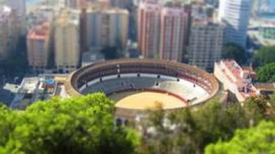 Imagen de Circuito de Novilladas de la Comunidad de Madrid 2025 (T2025) - 5