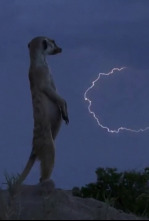 Imagen de Maravillas de África (cada día es una aventura) - 4