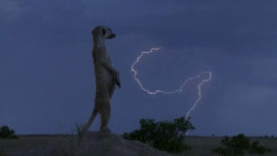 Imagen de Maravillas de África (cada día es una aventura) - 5