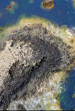 Imagen de Misterios desde el aire (T3) - 4
