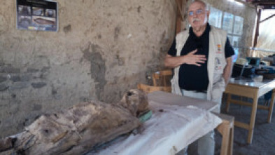 Imagen de Arqueomanía  - 15