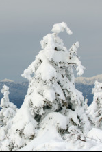 Imagen de Japón, las cuatro...: Primavera y verano - 4