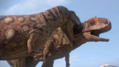 Imagen de El planeta de los dinosaurios  - 5