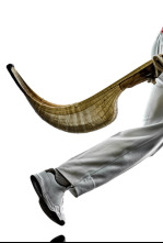 Cesta punta