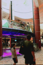 Imagen de Desaparecidos: Últimas palabras - 4