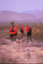 Imagen de Desaparecidos: El largo camino a casa - 4