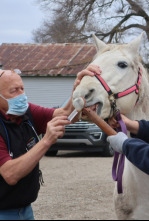 Imagen de El increíble doctor Pol: Juego de huesos - 6