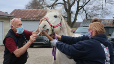 Imagen de El increíble doctor Pol: Juego de huesos - 7