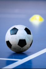 Imagen de Jornada 10: Alzira FS - Palma Futsal - 4