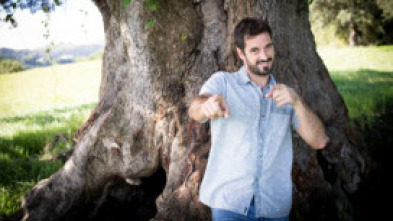 Imagen de Historias a Bocados (T2017) - 5