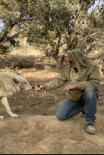 Imagen de ¿Cómo lo hacen?...: Secretos en blanco y negro - 4