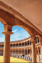 Imagen de Toros (T2025): Desde Navas de San Juan - 4