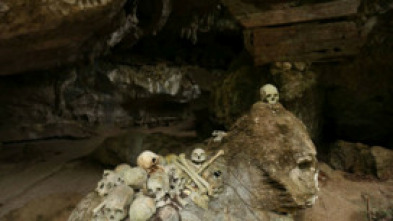 Pacífico: El triángulo del coral