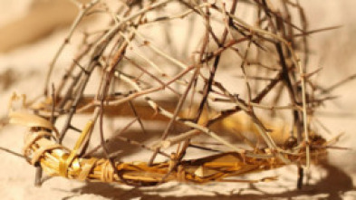 Imagen de Expedientes misterio...: El misterio de María Magdalena - 5