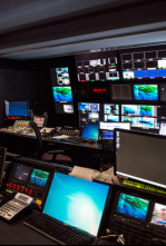 Imagen de Especial servicios informativos - 4