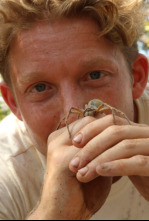 Imagen de Australia extrema con...: La persecución a camellos salvajes - 6