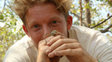 Imagen de Australia extrema con...: La persecución a camellos salvajes - 7