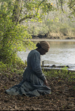 Imagen de Harriet - 6