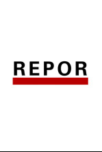 Repor (T2024): Patios traseros