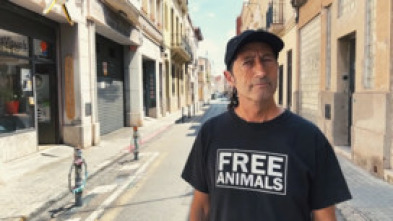 Imagen de Talent creatiu: Werens, grafiter - 5