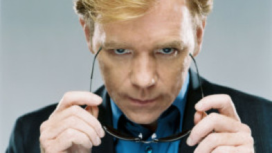 Imagen de CSI: Miami (T3): Ep.7 Ola de crimenes - 5