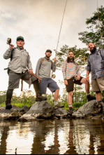 Fish or Die: El ojo del pez tigre