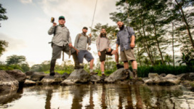 Fish or Die: No pierdas la cabeza