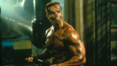 Imagen de Comando - 15