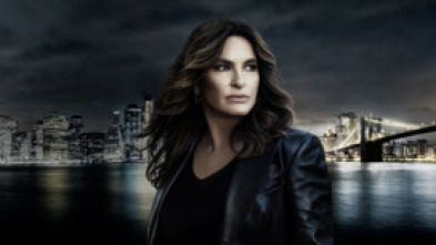 Imagen de Ley y Orden:... (T26): Ep.14 El plan de red - 6