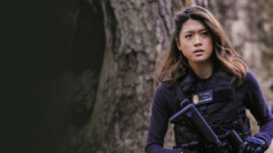 Imagen de Hawai 5.0 (T3): Ep.2 Kanalua (La duda) - 5